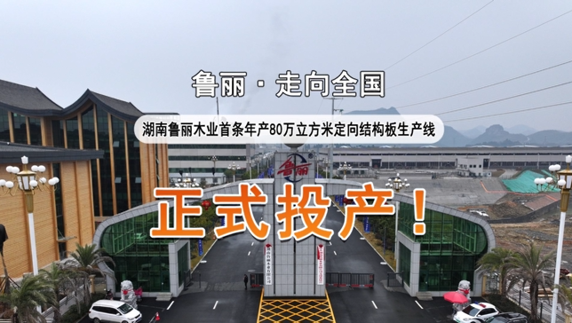 湖南魯麗首條年產80萬立方米定向結構板生產線正式投產